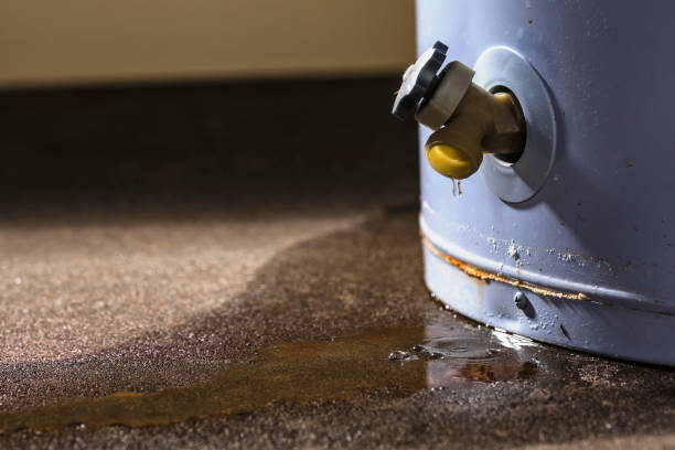 Best Ceiling water damage repair  in Charleston, MS