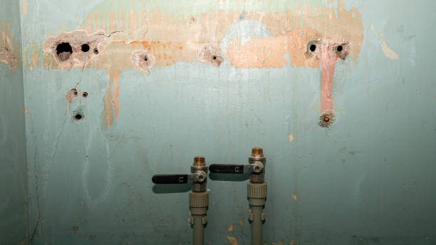 Best Water damage cleanup near me  in Charleston, MS