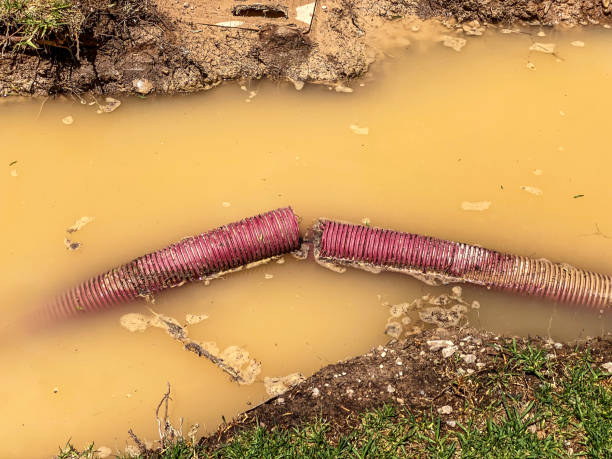 Best Water damage restoration near me  in Charleston, MS