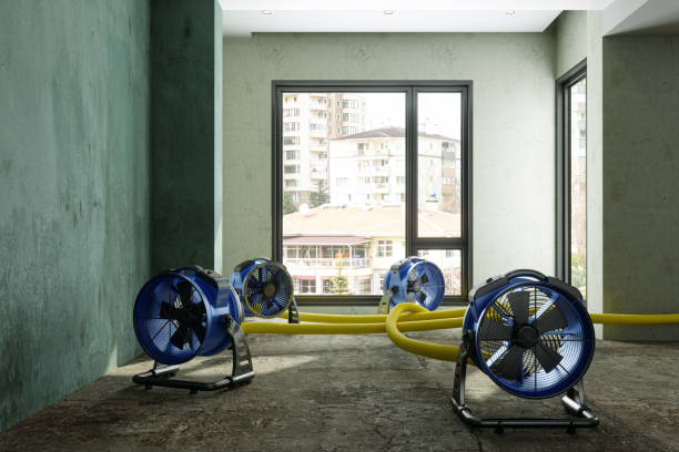 Best Water damage mitigation services  in Charleston, MS